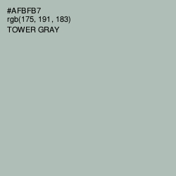 #AFBFB7 - Tower Gray Color Image